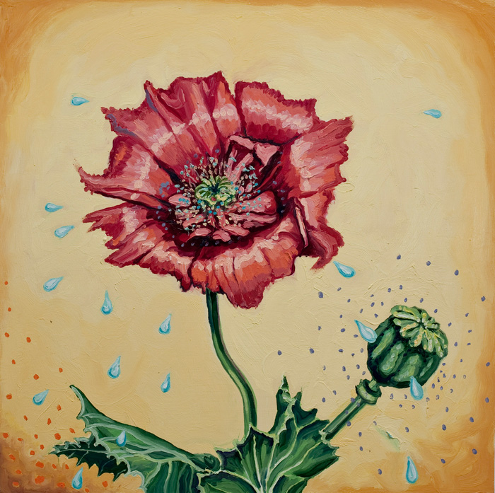 Crying Poppy, Oil on Panel, 24" x 24"