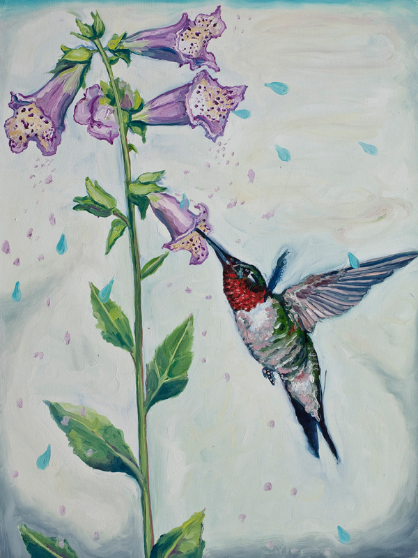 Hummingbird with Foxgloves, Oil on Canvas, 24" x 18" 